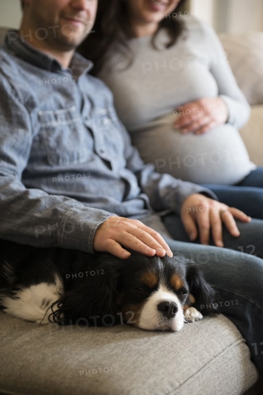 Mid adult couple sitting on sofa and stroking puppy