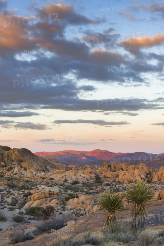 USA, California, Joshua Tree National Park, Desert with rock formations at sunset