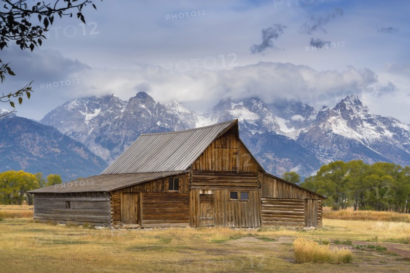 USA, Wyoming, Grand Teton National Park, Moulton Barn, Wooden barn in meadow