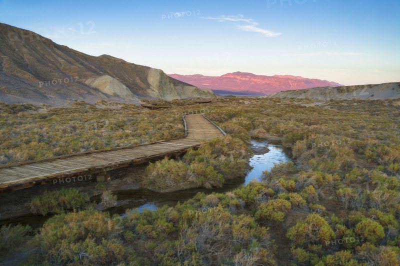 USA, California, Death Valley National Park, Salt Creek, Boardwalk next to stream