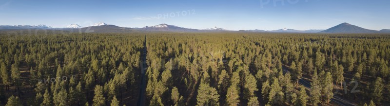 USA, Oregon, Sisters, Elevated view of evergreen forest with mountains in background