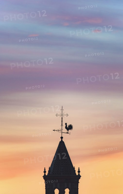 Spain, Andalusia, Seville, Weathercock on top of tower at sunset