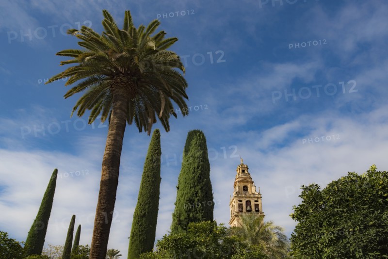 Spain, Andalusia, Cordoba, Minaret of Great Mosque of Córdoba behind trees