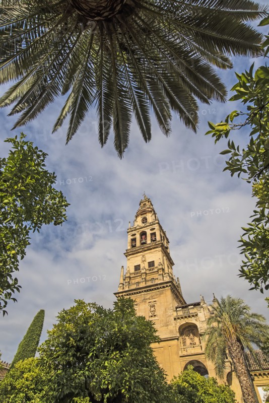 Spain, Andalusia, Cordoba, Minaret of Great Mosque of Córdoba behind trees