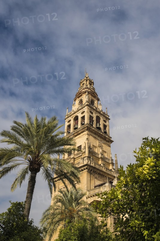 Spain, Andalusia, Cordoba, Minaret of Great Mosque of Córdoba behind trees