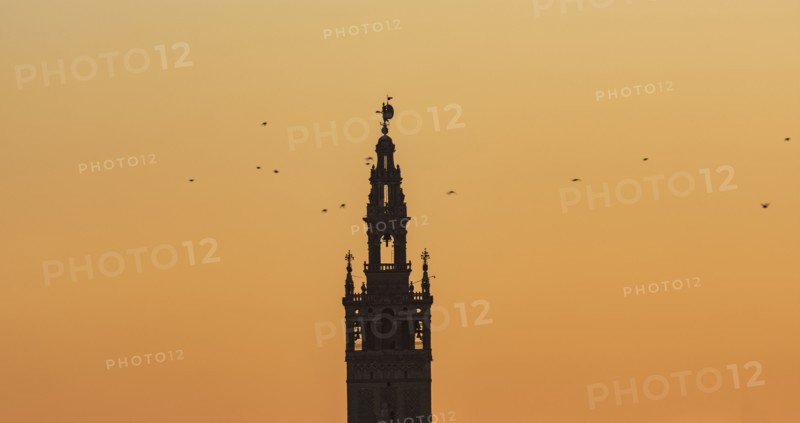 Spain, Andalusia, Seville, Bell tower of La Giralda against yellow sky with birds flying around
