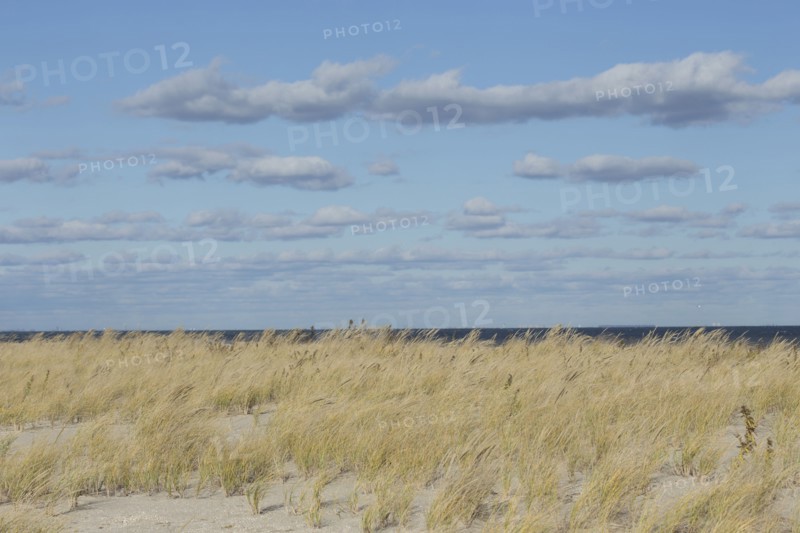Grass on sand dune with sea in background