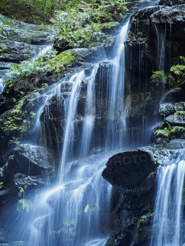 Australia, New South Wales, Waterfall called Wentworth Falls