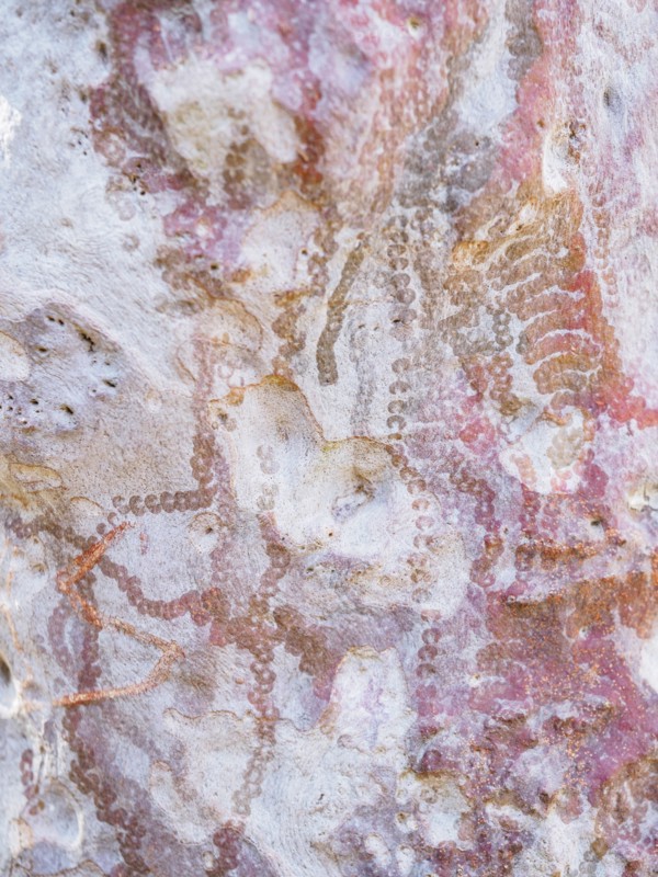 Australia, New South Wales, Abstract patterns on rock in Blue Mountains