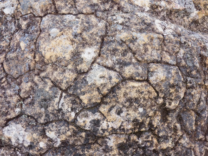 Australia, New South Wales, Cracked pattern on rock in Blue Mountains