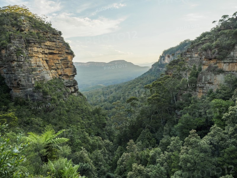 Australia, New South Wales, Landscape of Blue Mountains