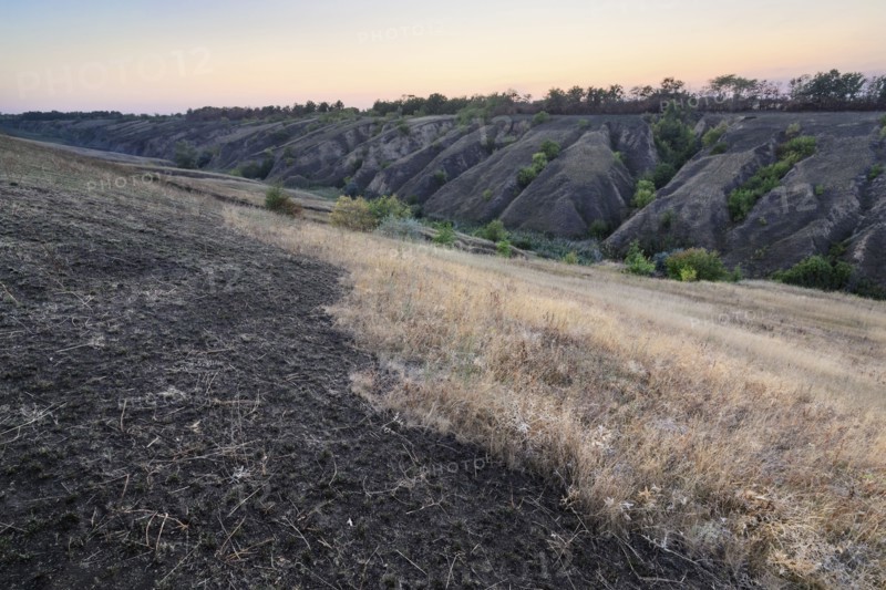 Ukraine, Dnepropetrovsk region, Novomoskovsk district, Landscape with ravine at dawn
