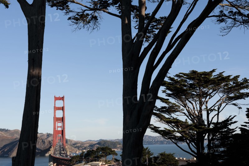 USA, California, San Francisco, Golden Gate Bridge seen among trees