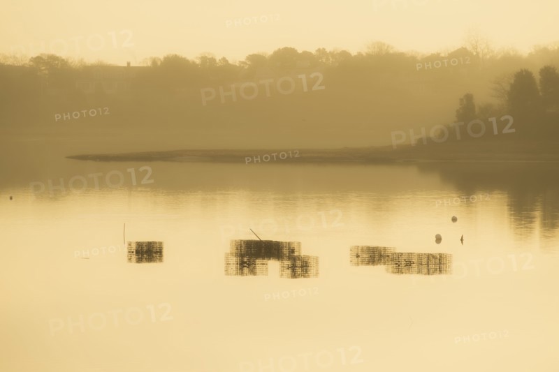 Shellfish baskets at low tide