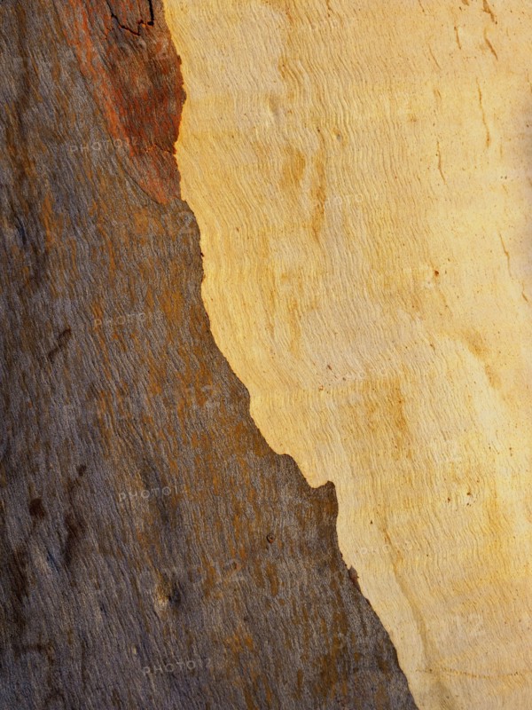 Rock formations in Blue Mountains National Park