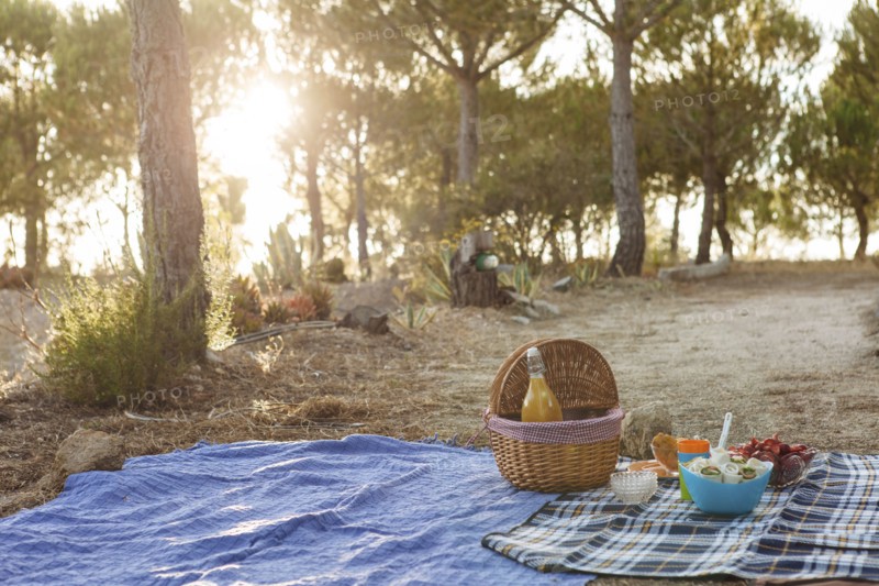Picnic under trees