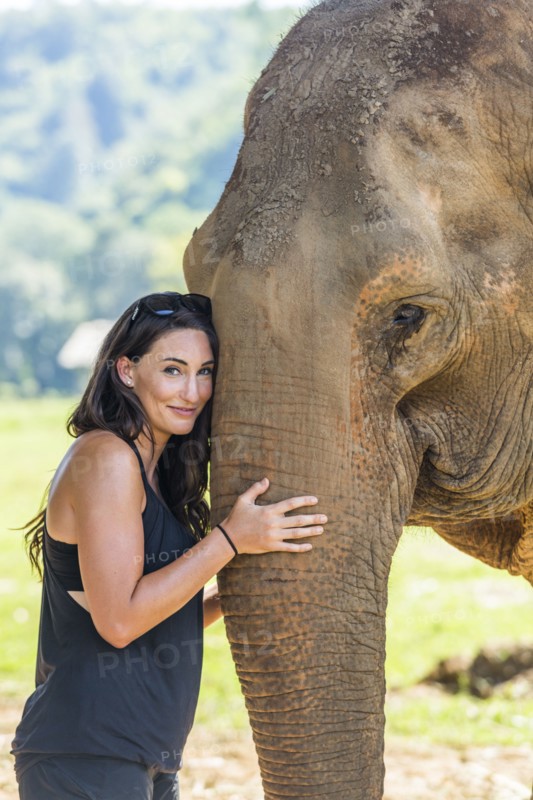 Woman holding trunk of Indian elephant in Chiang Mai, Thailand