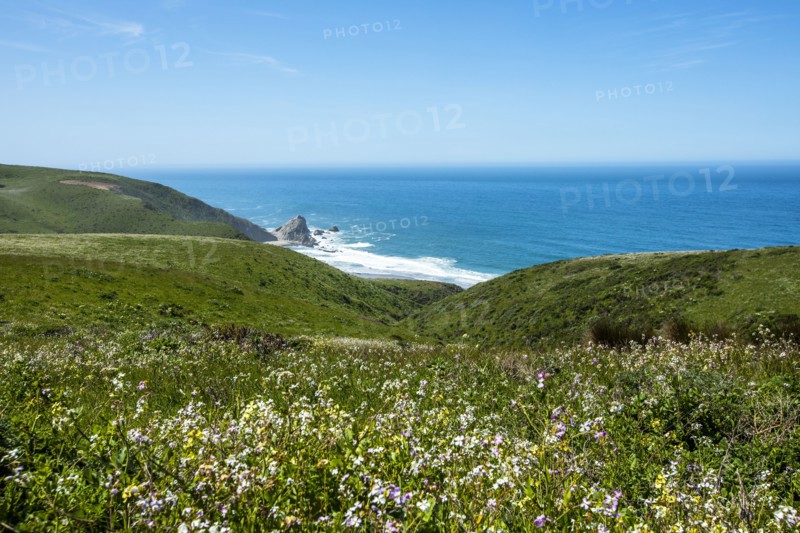 Field by sea in Tomales, San Francisco, USA