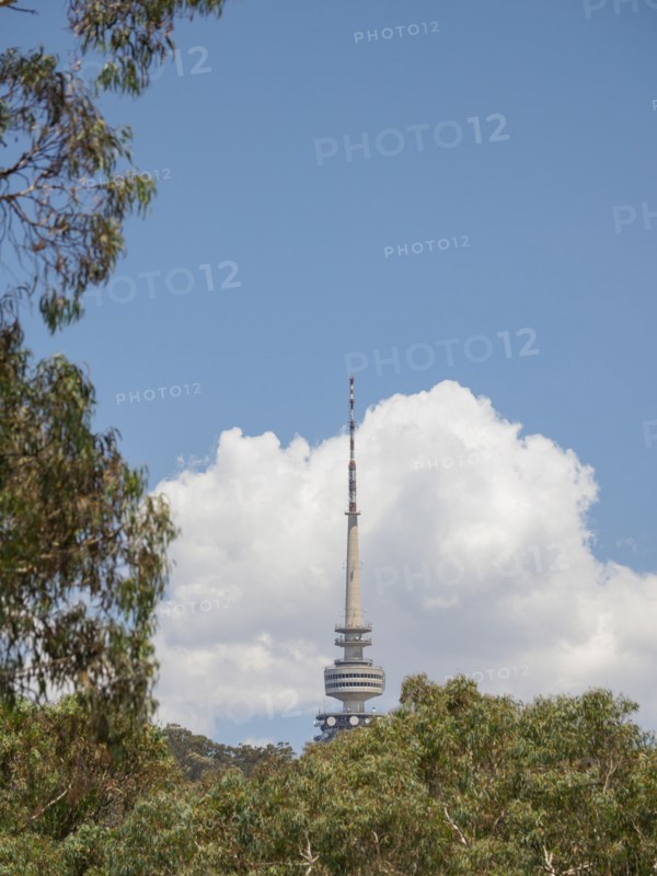 Telstra Tower behind trees in Canberra, Australia