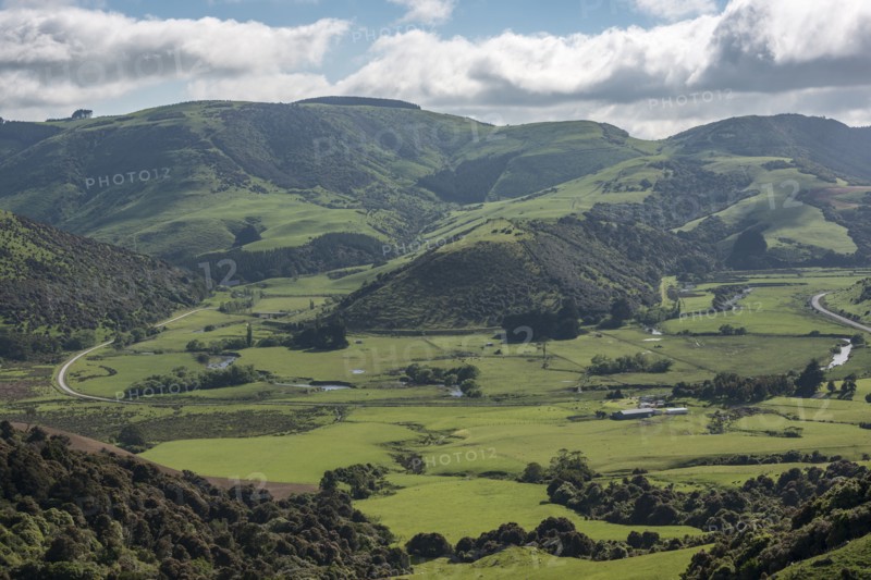 Rural landscape in Tawanui, New Zealand
