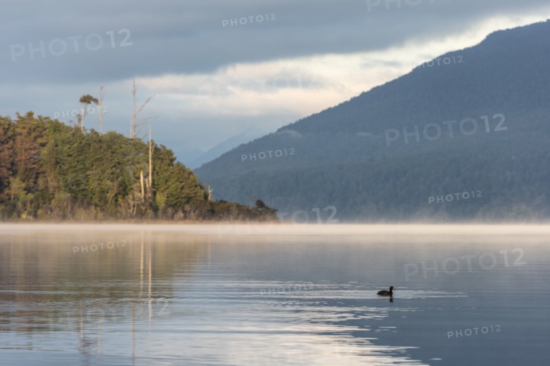 Sunrise on Te Anau Lake, New Zealand