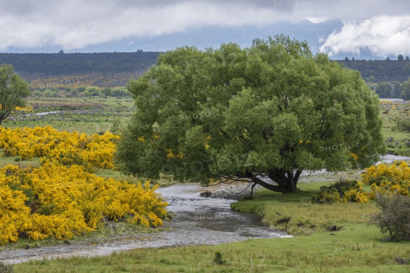 Eglinton River through Te Anau Downs, New Zealand