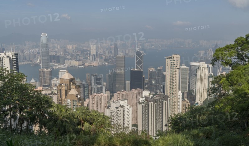 Cityscape behind trees in Hong Kong, China