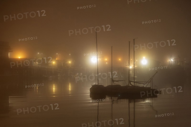 Moored sailboats at night
