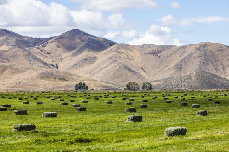 Hay bales in field by mountains in Picabo, Idaho, USA