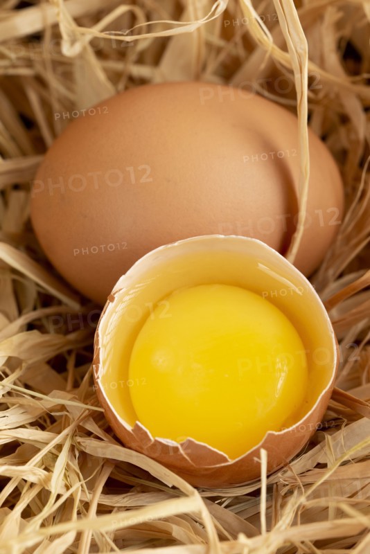 Cracked egg on straw