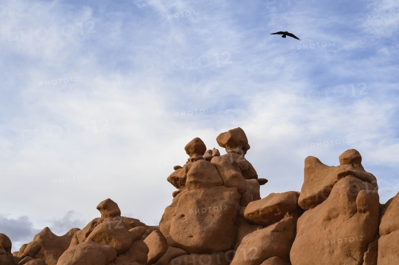 Bird flying above rock formation in Goblin Valley State Park, Utah