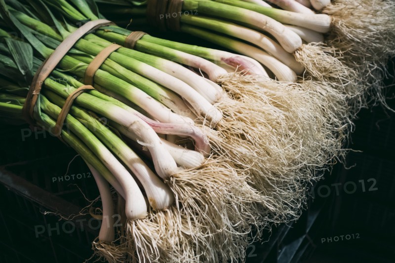 Bundles of spring onions
