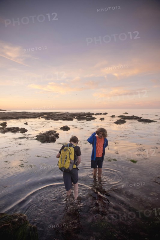 Teenage boys exploring tide pools in La Jolla, California