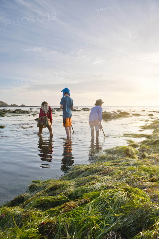 Children exploring tide pools in La Jolla, California