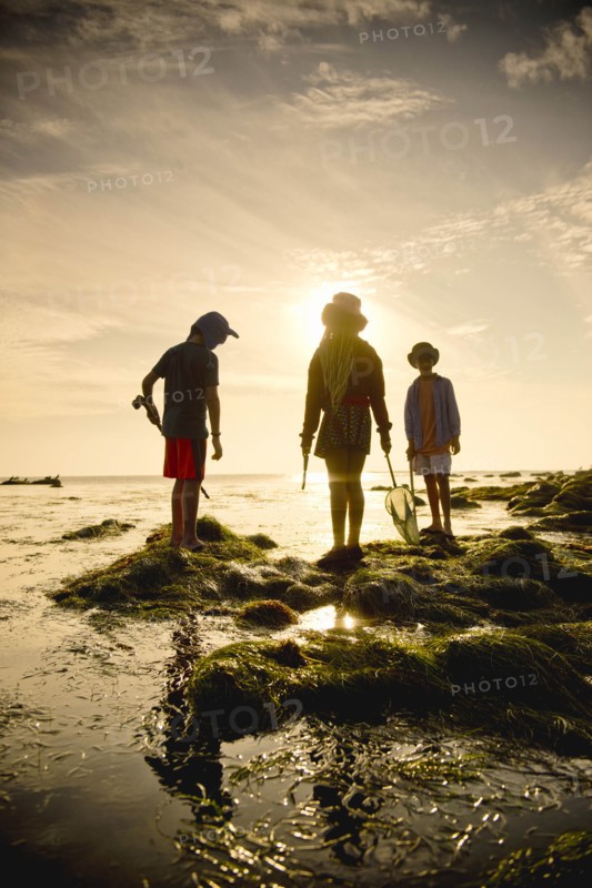 Children exploring tide pools in La Jolla, California