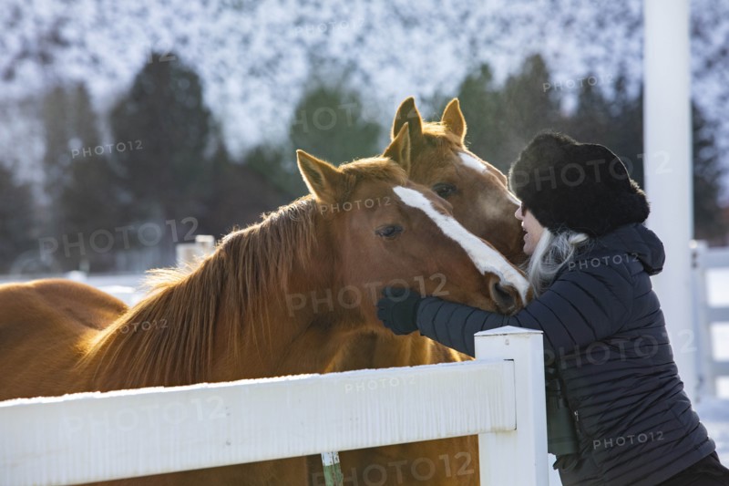 Woman wearing fur hat stroking horses