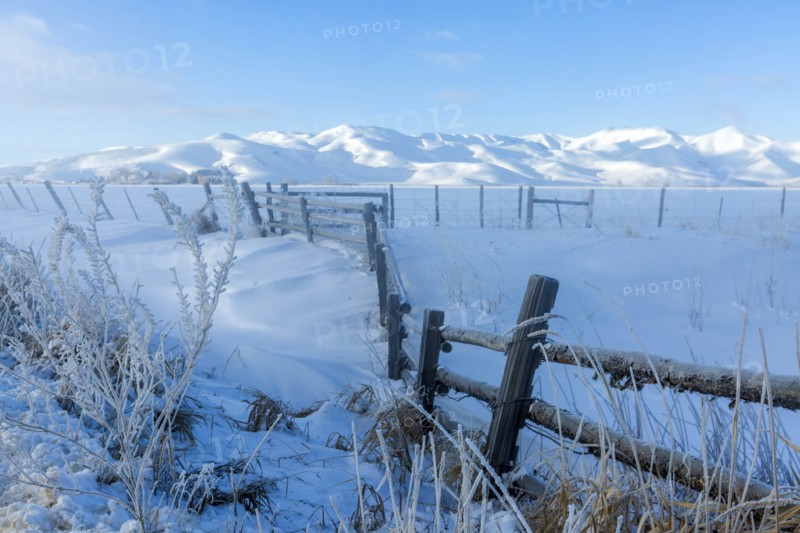 Fence and snow field during winter in Picabo, Idaho