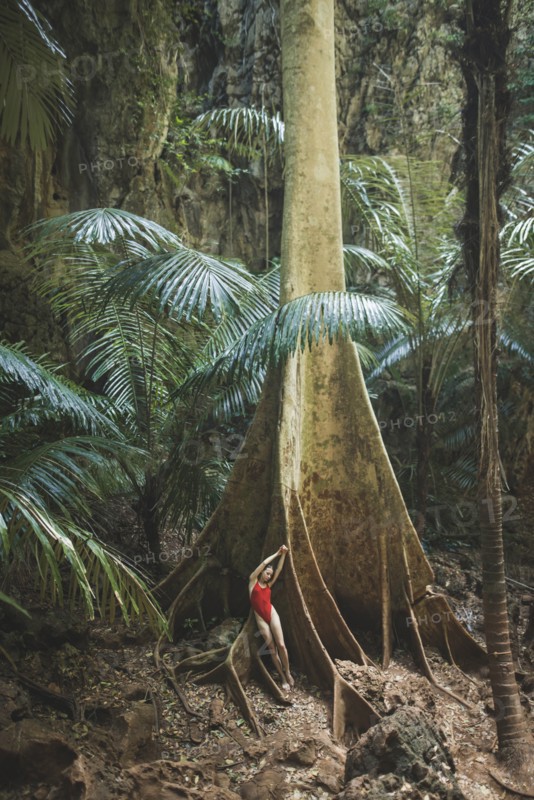 Young woman in swimsuit leaning on large tree in Krabi, Thailand