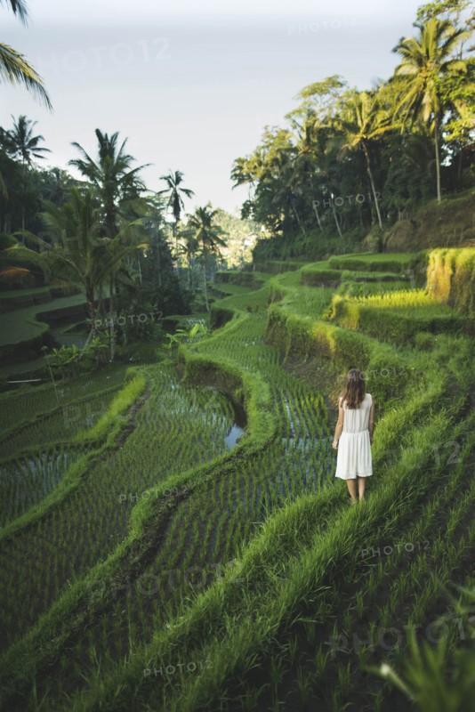 Woman wearing white dress on terraced rice paddies in Bali, Indonesia