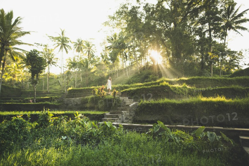 Woman wearing white dress on terraced rice paddies in Bali, Indonesia