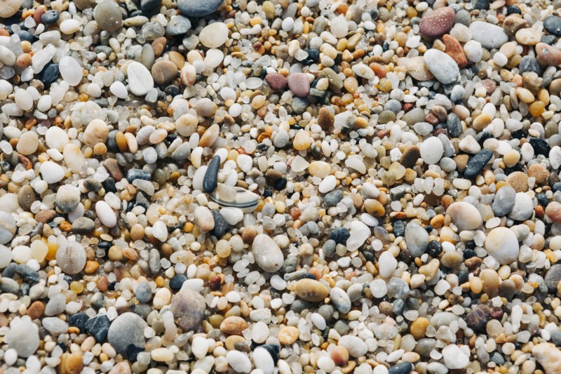 Seashells and pebbles on beach