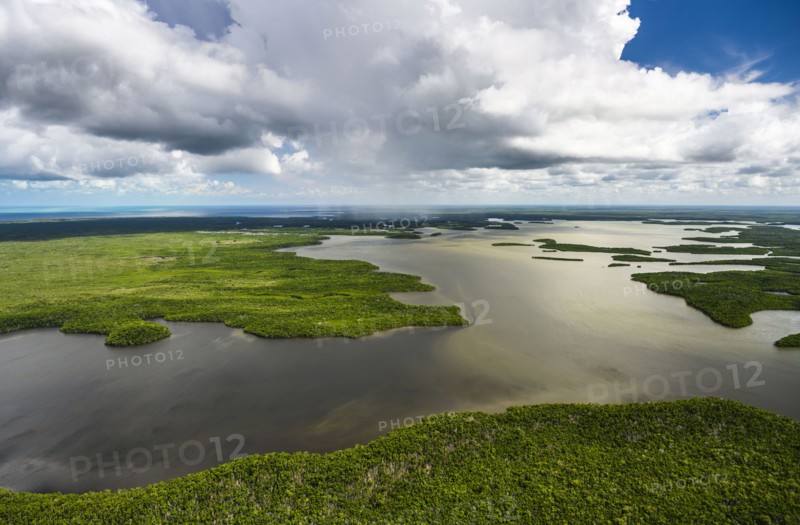 Aerial view of Everglades National Park in Florida, USA