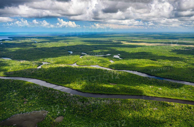 Aerial view of Everglades National Park in Florida, USA