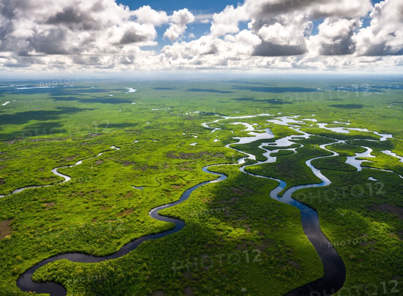 Aerial view of Everglades National Park in Florida, USA