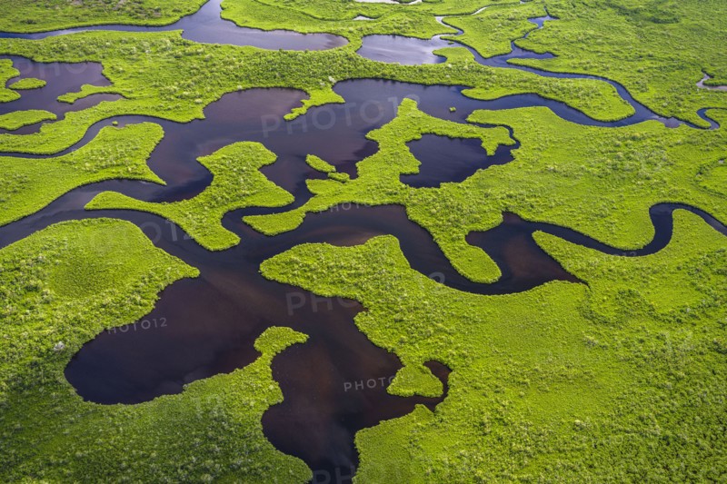 Aerial view of Everglades National Park in Florida, USA