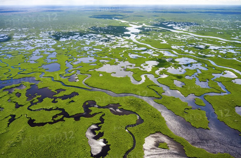 Aerial view of Everglades National Park in Florida, USA