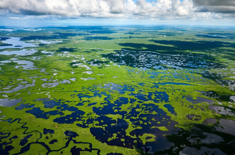 Aerial view of Everglades National Park in Florida, USA