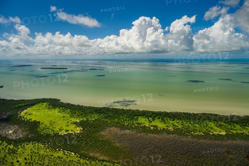 Aerial view of Everglades National Park in Florida, USA