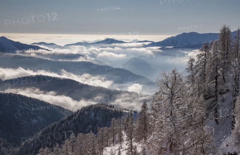 Bare trees by mountains with fog in Piedmont, Italy