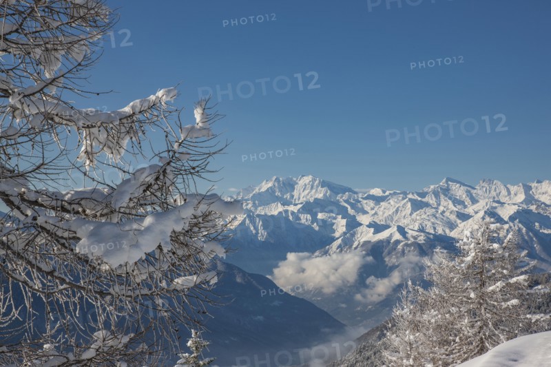 Bare trees by mountains in Piedmont, Italy